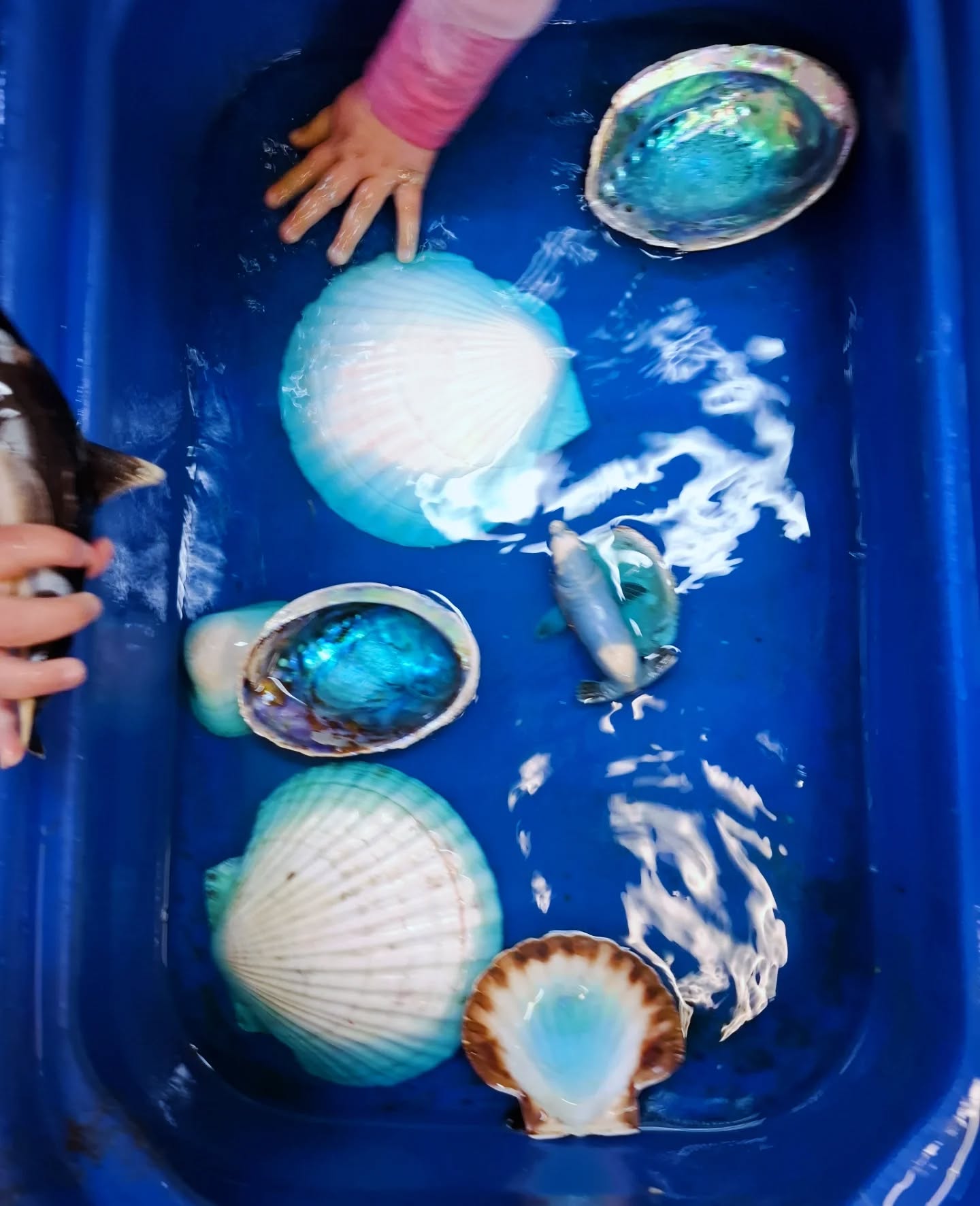 Imagination Stations ✨️✨️