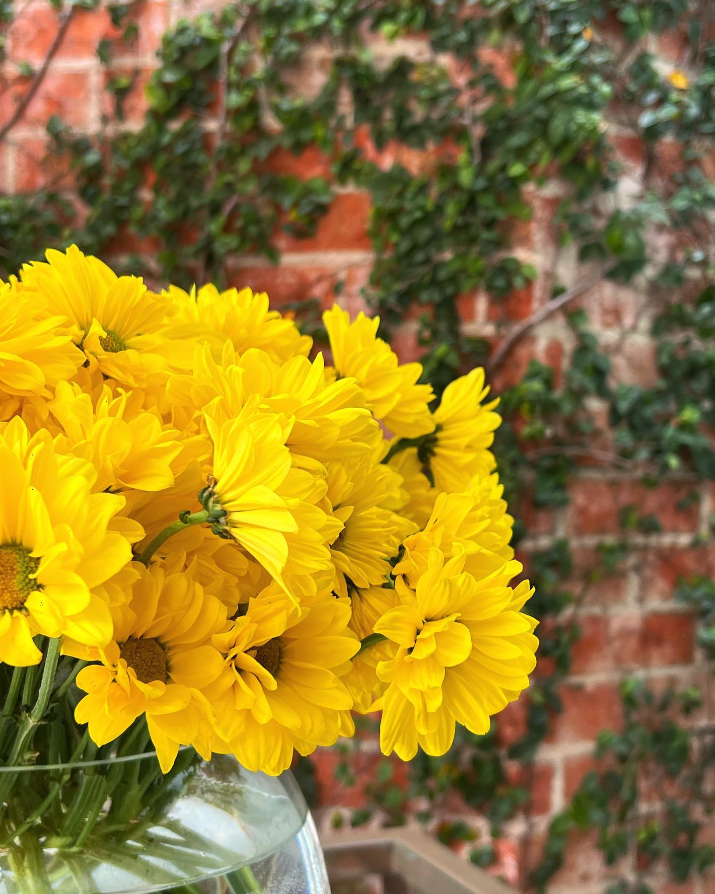 Flowers by @houseofbijan ๐ป