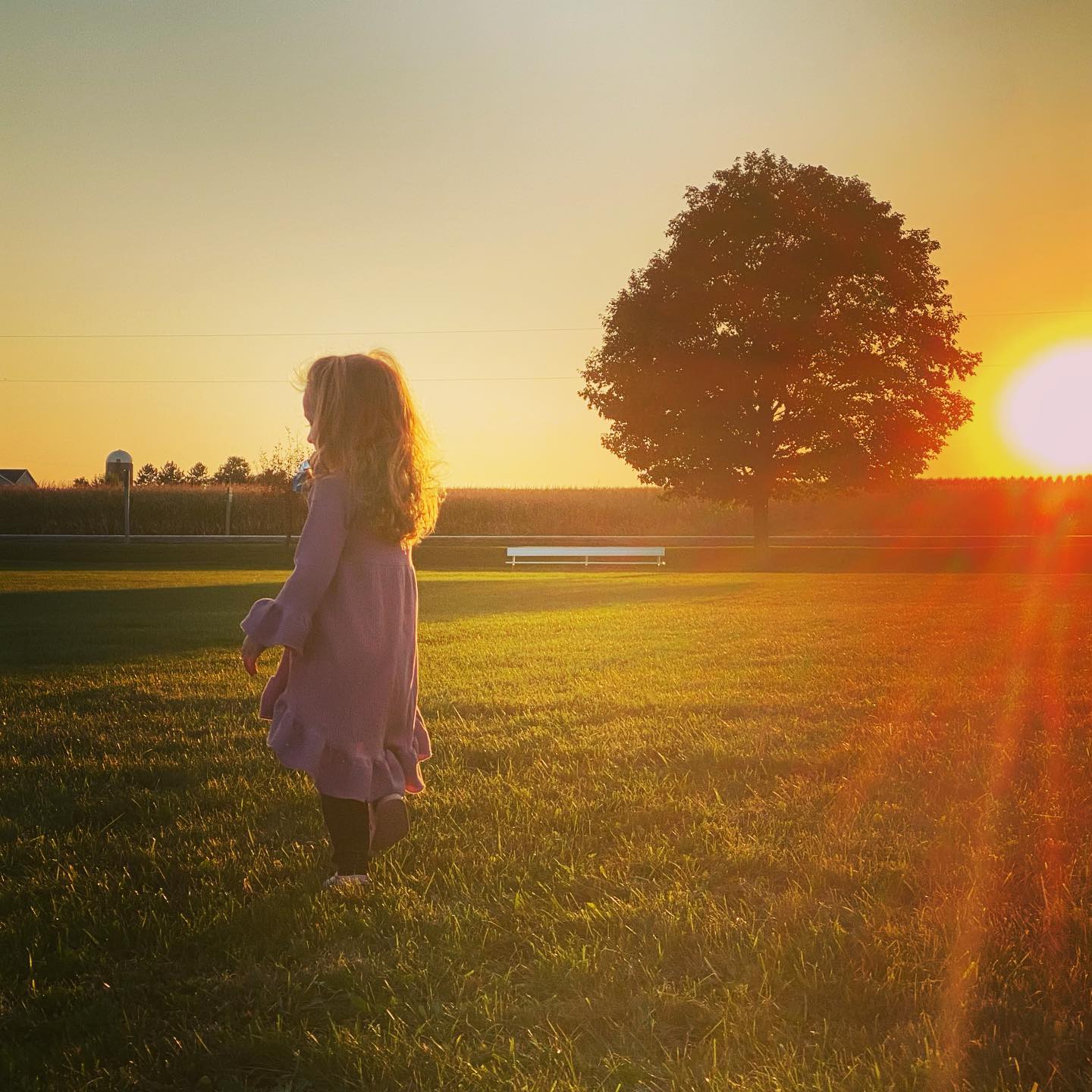 Life is beautiful isn’t it? 🌅 #lookup #itsthelittlethings