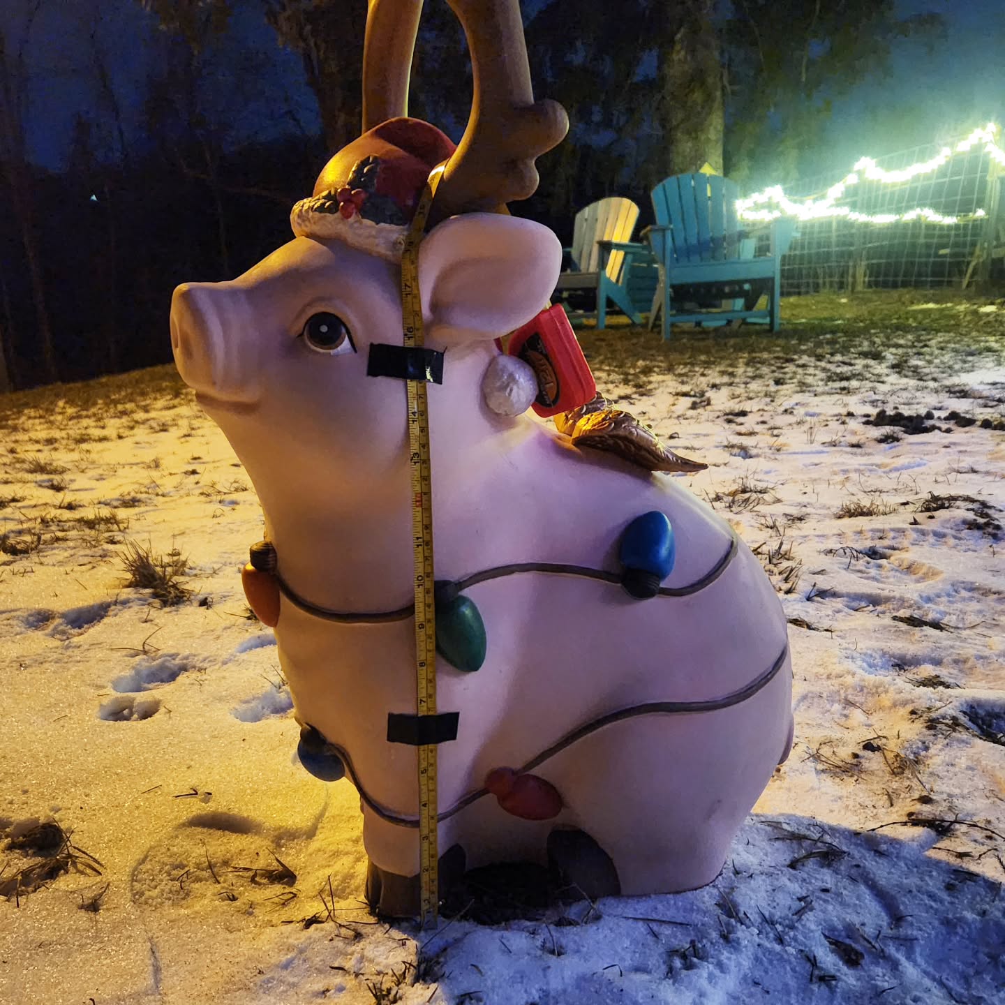 We're ready 😫 #snownooooooo #animalrescue #pigshatesnowtoo