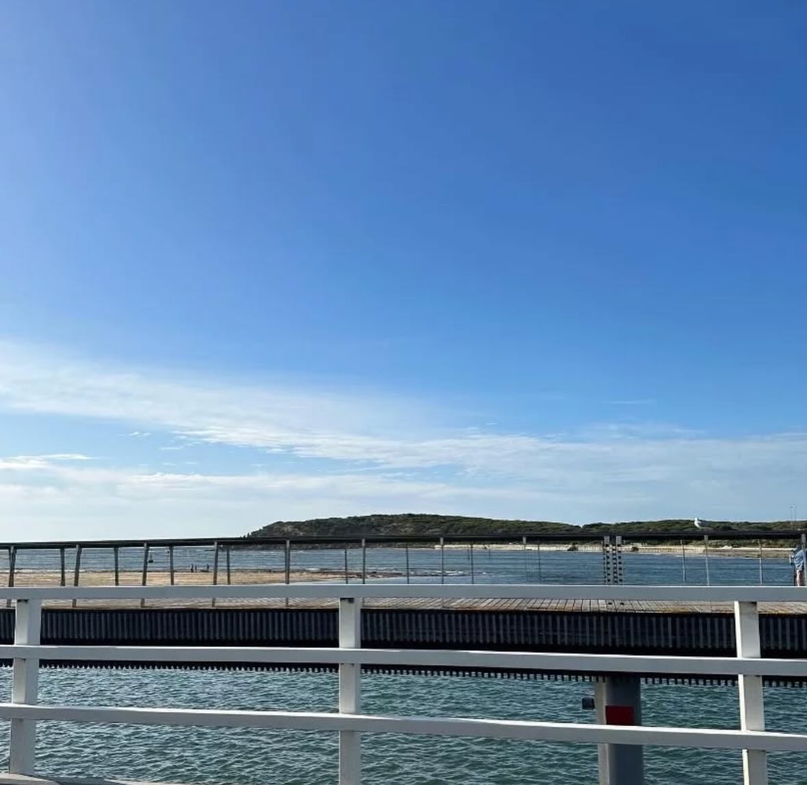 Closed Monday for the public holiday 🌞
We’ll be back open Tuesday.
DM us if you need urgent care 🤍