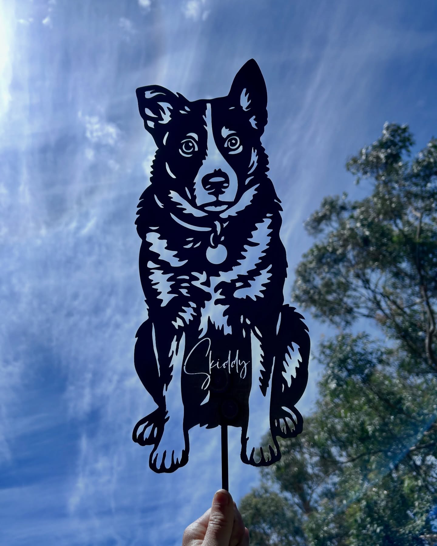 From photo to steel, this is Skiddy 🤍
This custom piece was designed from Skiddy’s photo at our standard 40cm size. More petite in scale, yet still able to hold a surprising amount of detail, from his markings through to that one adorable floppy ear ☺️
Working within a smaller format requires careful choices about what to include and what to simplify. What makes the piece instantly recognisable, while still ensuring the overall design is structurally sound and crafted to withstand harsh Australian conditions.
The result 👉🏼 a beautiful custom keepsake of Skiddy, made by our family for his 💜
#custommade #petportrait #miacooperandco