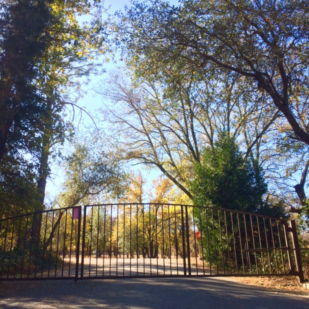 The gates are closed! Thanks to all you river people for another great season! See you in February! (We are still hosting events, please contact our office if you are interested in our event space and lodging).
#camplotus #2019 #closingtime #americanriver #colomalotus #california #riverpeople #riverlove #exploreeldorado #eldoradocountyevents #eldoradocountyweddings