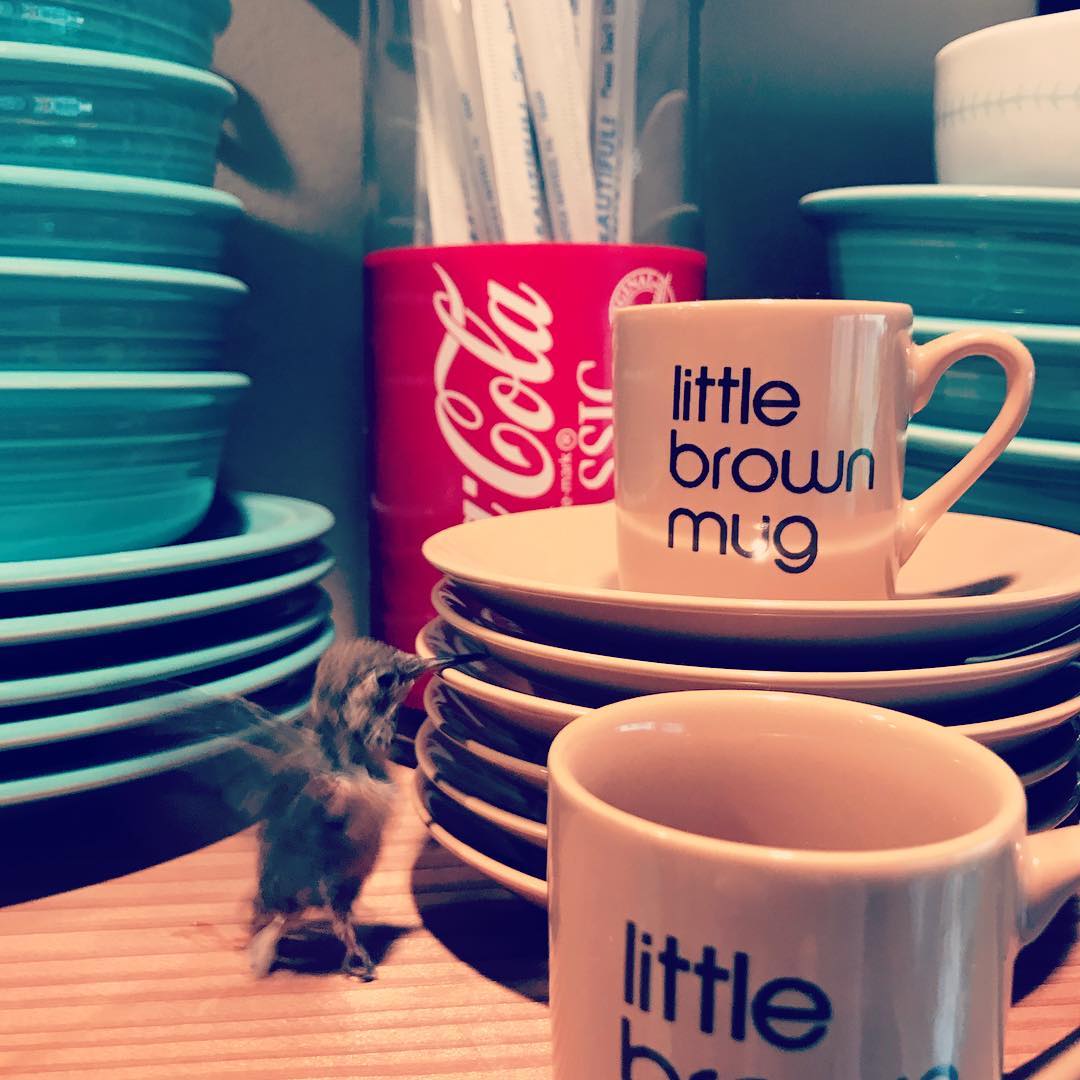 #hummingbirds bring #joy - they remind us to focus on & indulge in #thesweetnessoflife.