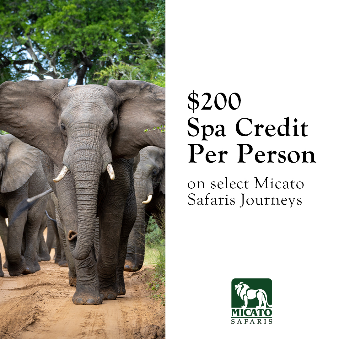 Seek out Africa's Big Five on a luxury safari, delighting both the young and the young-at-heart. Or visit India, endlessly vibrant, offering near-planetary variety. A journey through these lands is guaranteed to leave you and your travel companions with one-of-a-kind experiences and memories that will last a lifetime.
Receive a $200 Spa Credit per person at one accommodation along your journey with Micato Safaris.
See PROMOTIONS link in bio.