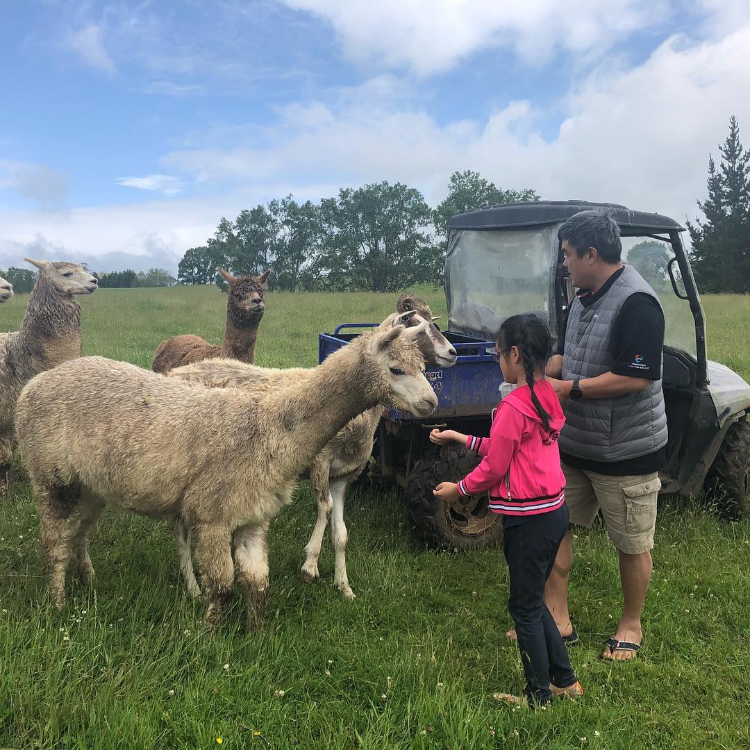 Feeding the farm animals 😍