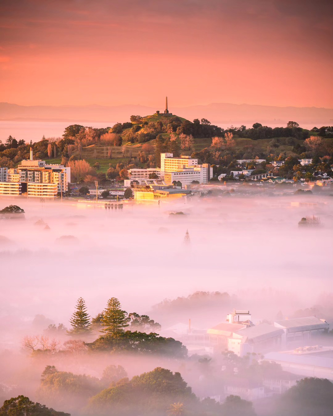 Foggy mornings 🌁😍
Happy World Photography Day 📷