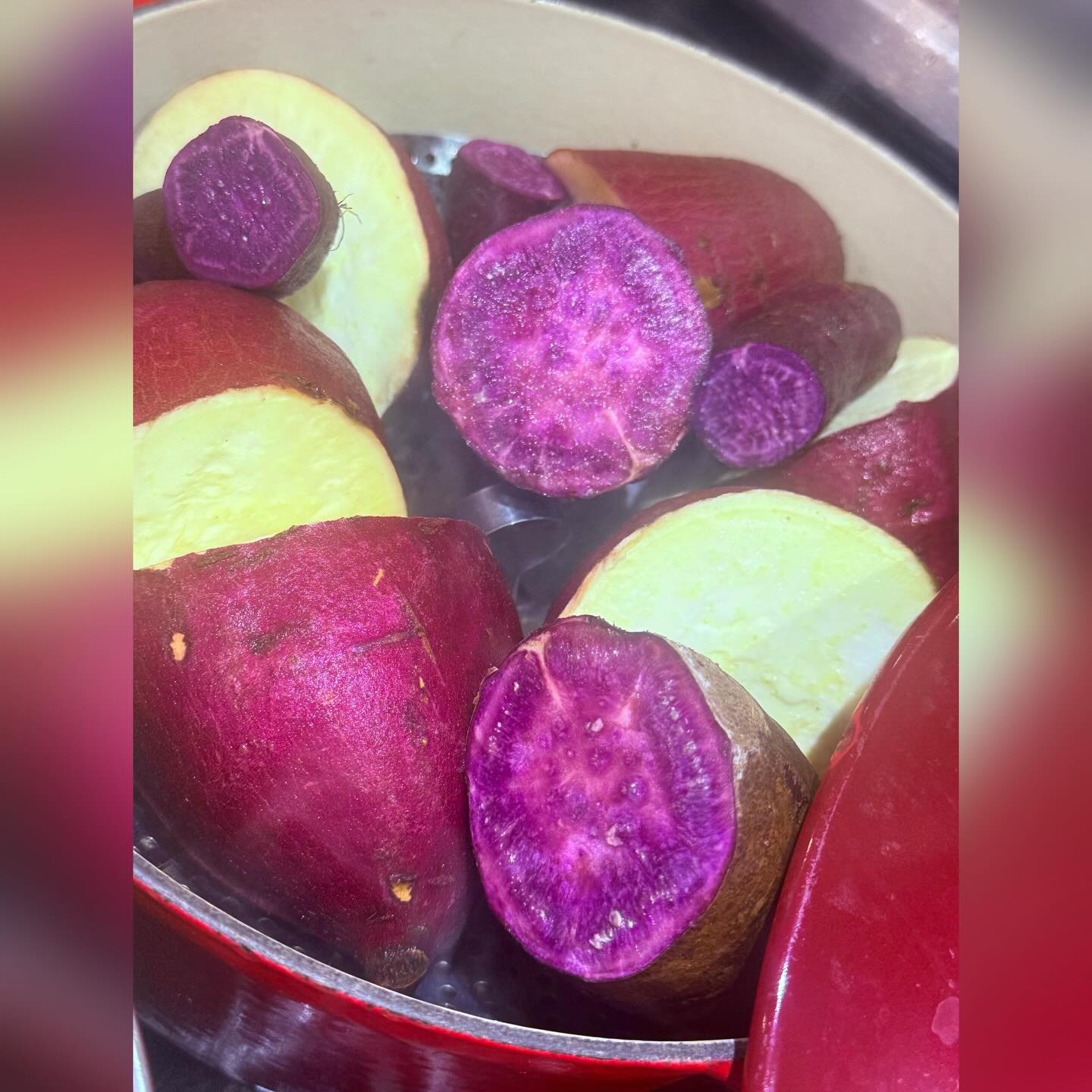 🍎毎月恒例のクッキング!1月は「あっぷるきんとん」作りに挑戦しました💛CV園の畑で収穫した紅芋を加えると、きれいな薄紫のりんごちゃんの完成!りんごの葉っぱの代わりにあっぷるガーデンのミントを添えて、、みんなで美味しくいただきました💕💕
————————
🍎 Our monthly cooking activity! For January, we made ‘Apple Kinton’ 💛 The purple sweet potatoes harvested from CV’s Garden gave the kinton a pretty light purple color! We added fresh mint from the Apple Garden and a pretzel stick for garnishing and enjoyed our sweet snack 💕💕