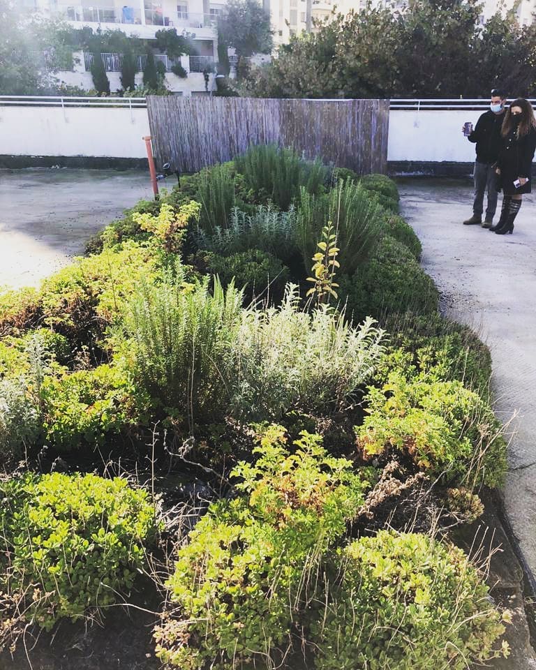 green roof education
a small demo project in a school we did nearly three years ago
#greenroof, #בנייןצומח, #bldveg, #גגירוק, #oikosteges, #גגצומח, #israel, #greenroofpolicy, #greenroofs, #kfarsaba, #כפרסבא