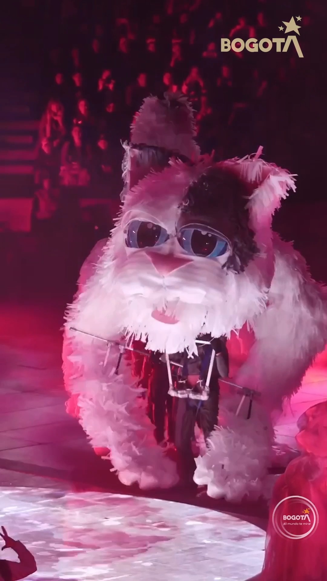 Hay imágenes que se quedan grabadas en el corazón.
Aunque cambiamos de año, la magia de lo que vivimos en diciembre sigue intacta. 🎪✨
Ver La Plaza Cultural La Santamaría encendida, a nuestros artistas volando y a Bogotá unida por el asombro, es la mejor prueba de que esta ciudad tiene una magia inagotable.
¡Gracias por soñar con nosotros! ☁️🙌
@CulturaenBta @alcaldialocalsantafe @alcaldiadelacandelaria @idrdbogota @alcaldiabogota
#NavidadEsCultura2025 #BogotaSoñada #MasAllaDeLasNubes
Una producción de Al Alba Producciones en alianza con La Gata Cirko.
@alalbaproducciones @lagatacirko
Producción general: Al Alba Producciones @alalbaproducciones
Dirección artística: Felipe Ortiz @felipe.moves
Dramaturgia: Johan Velandia @johanve_land
Director Técnico y Diseño de iluminación: Leonardo Murcia @leomurcia1212
Compositor y Director musical: Javier Ojeda @javocaravan
Directora circo: Luisa Montoya @luisa.lagatacirko
Asistente de circo: Jhon Yara @Jhonyarar
Coreografía: Gina Collazos @gicollazos
Coreografía de masas: Barbarana Pons @Barbypons
Asistente coreografía: Ingrid Londoño @ingriddanzapura
Direccion de Arte: Teatro de juguete @teatrodejuguete_creativo
Diseño de Vestuario: Teatro @teatrodejuguete_creativo @milena.forero79 en alianza con Kaftan @kaftancreador
Director Técnico de Aéreos: Boris Pulido @BorisPulido1978
Productor artístico: Marco Roa @alexai4
Realización de video y foto: @colibri.film
Marketing digital: Bibiana Castillo @soybibicastillor