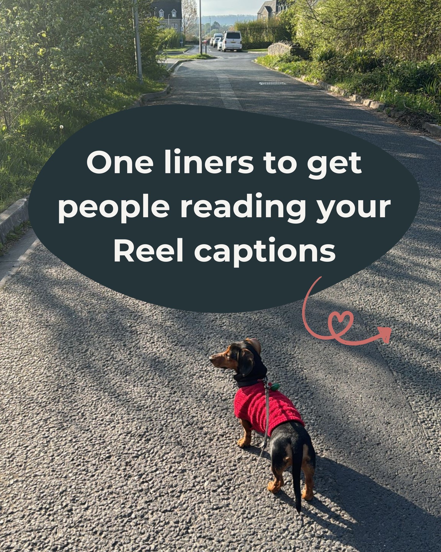 People love to say “no one reads captions anymore”…
Honestly? That’s just not true 🙄
People will read anything if you give them a reason to!
And for wellness business owners, captions matter even more... Because trust, context and nuance don’t fit into a 3 second Reel.
Here’s the real issue 👇🏼
It’s not that people don’t read captions.
It’s that they don’t get hooked quickly enough.
✨Top Tip ✨
Use a strong one line hook in the first visible line of your caption (the bit people see before they tap “more”)
That’s what makes them pause, click and actually read what you’ve written.
Which is kind of important when you’re:
➞ educating
➞ building trust
➞ and trying to attract the right clients
And yes, these hooks work everywhere (posts, Reels, carousels, emails…the lot!)
P.S. If you want help reusing what you’ve already written (without starting from scratch every time) comment REMIX and I’ll send you my FREE Remix Guide...
It shows you how to say the same thing in different ways - calmly, consistently and without burnout 🫶🏼