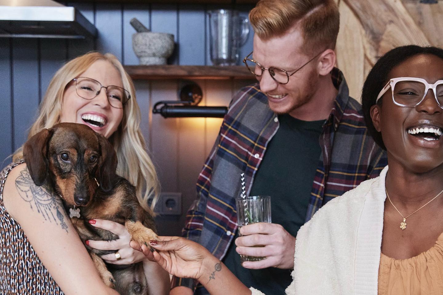 Welcome to the Family! For those who dont know: this is "Willy” the office-dachshund and everybody’s darling 🥹