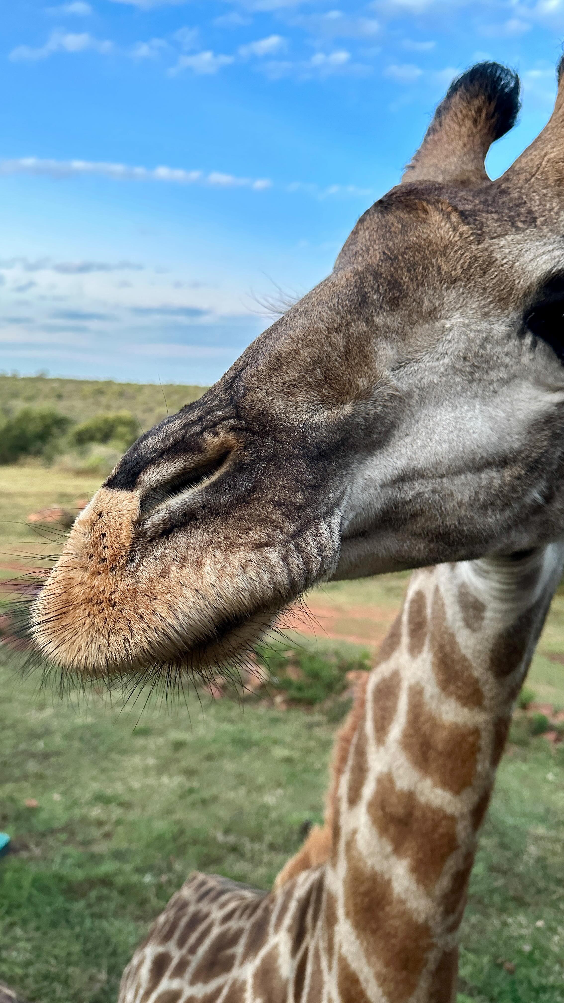 Some Alan Watts food for thought 💭✨👁️
#wellnesstravel
#yogasafari
#wildlife
#travelshorts