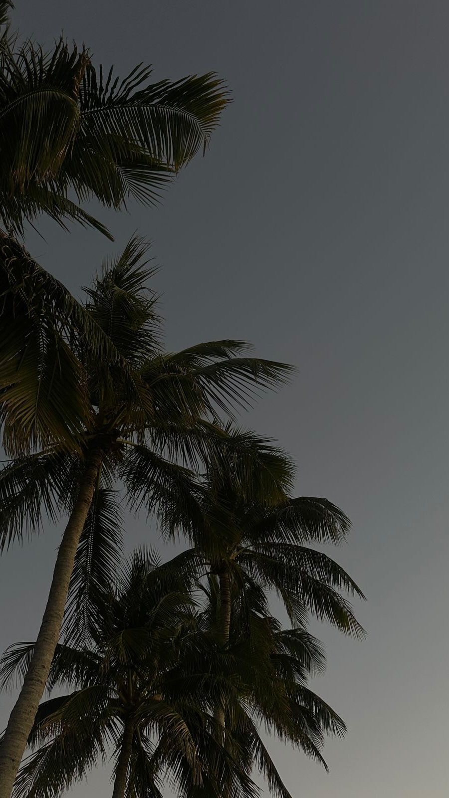 Du bist nicht müde, weil du zu wenig schläfst.
Du bist müde, weil dein Kopf nie ankommt.
Weil er ständig voraus ist.
Präsenz heilt. Immer wieder. 🤍
Wer fühlts auch? ✨😴🦦
#Müdigkeit #mentalhealth #nervensystem #entspannung #stress