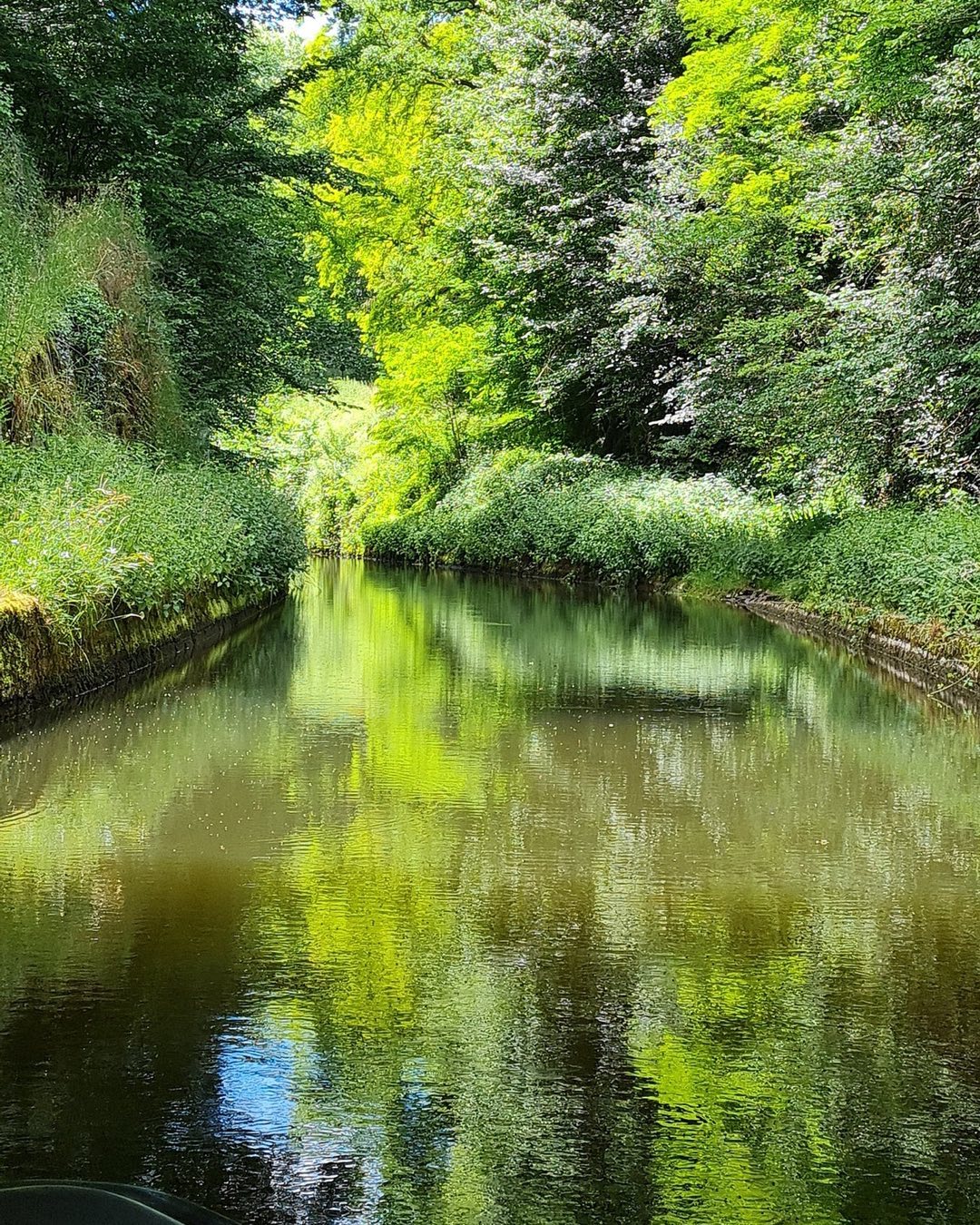 Paisible #coeurdenievre