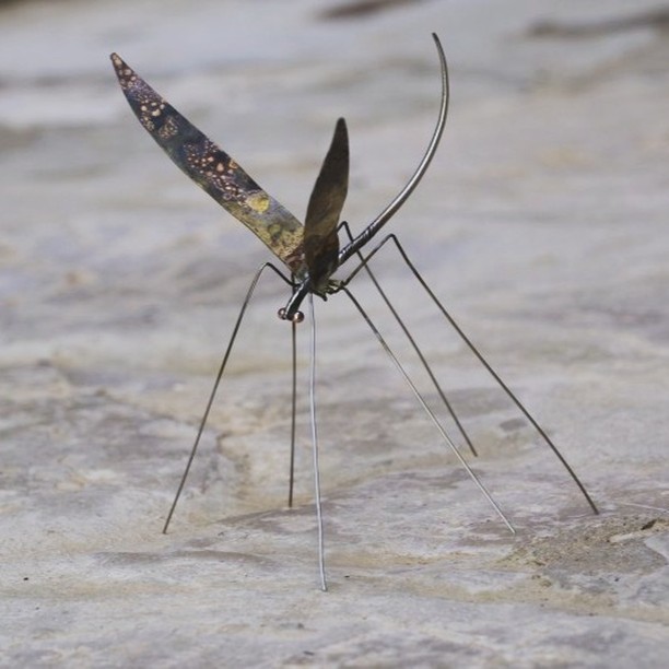 i n s e c t | stainless steel | bronze | copper
camara.nafplio.greece
#camaraworkshop
#nafplio #jewelry #art
#designjewelry
#handmadejewelry
#jewelrystore
