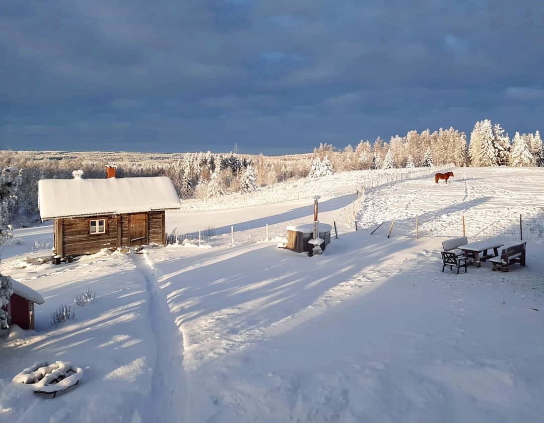 Warmly welcomed sunlight shortly interrupted the darkness and gave us taste of the upcoming brighter winter days🌞
Photo by the farmer @sauvo.henttonen himself
#puustilanmaisematila #scenicfarm #farmstay #sheepfarm #finnhorse #sauna #logcabin #winterlandscape #houseonthehill