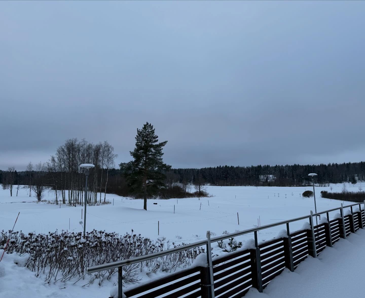 Aamupäivän tilanne. -8 C