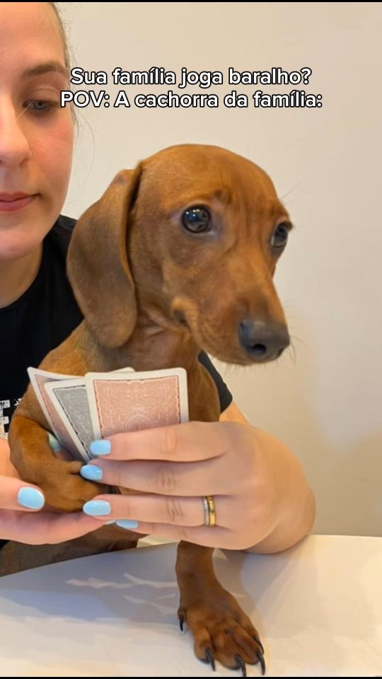 Essa Lolla topa tudo 😅 sempre competitiva...