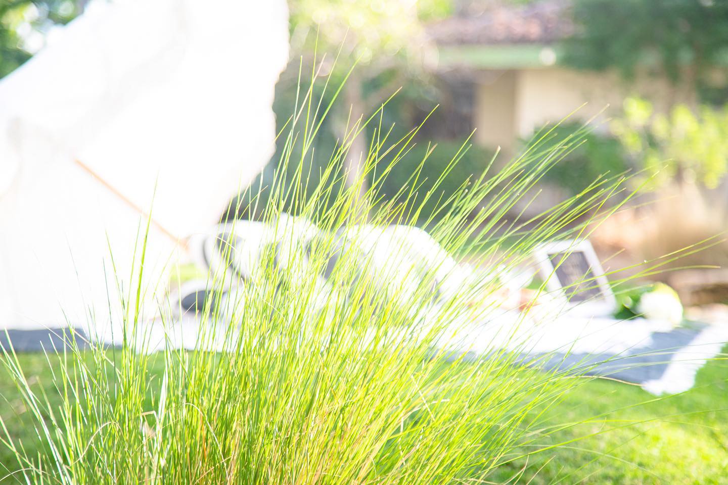 There is some exciting news in our basket we are preparing to share with you!
Stay tuned for something truly exciting!
#palmbeachpicnics #pbpicnics #picnics #surprise #surprisepicnic #romantic #romance #palmbeach #palmbeachtravel #outdoors #datenight #dateideas #picnicbasket