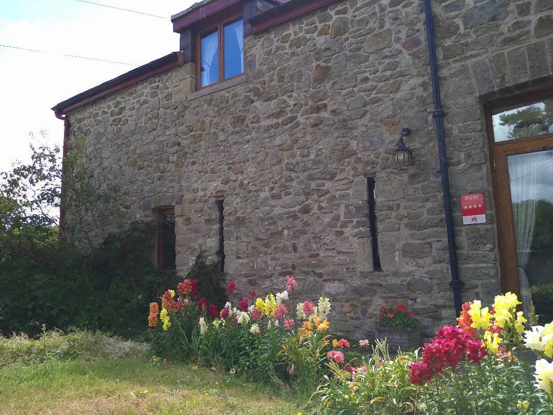 The Barn, our award winning four star B&B
#snapdragon #flowersofinstagram
#selfcateringcottage #self catering #holiday #cottages #margam #porthcawl #bedandbreakfast #inittogether ##barnconversion #tyncellarfarm #thebarnbedandbreakfast #relax@tyncellarfarm #bookings@tyncellarfarm #inittogetherfestival #farm #farmlife #visitwales #walesadventure #wales❤️