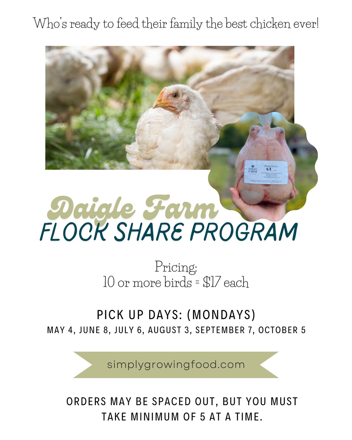 While you are nuzzled up on the couch today don’t forget to dream about flock share days ahead at Daigle Farm. More pasture raised chickens means more happy families!