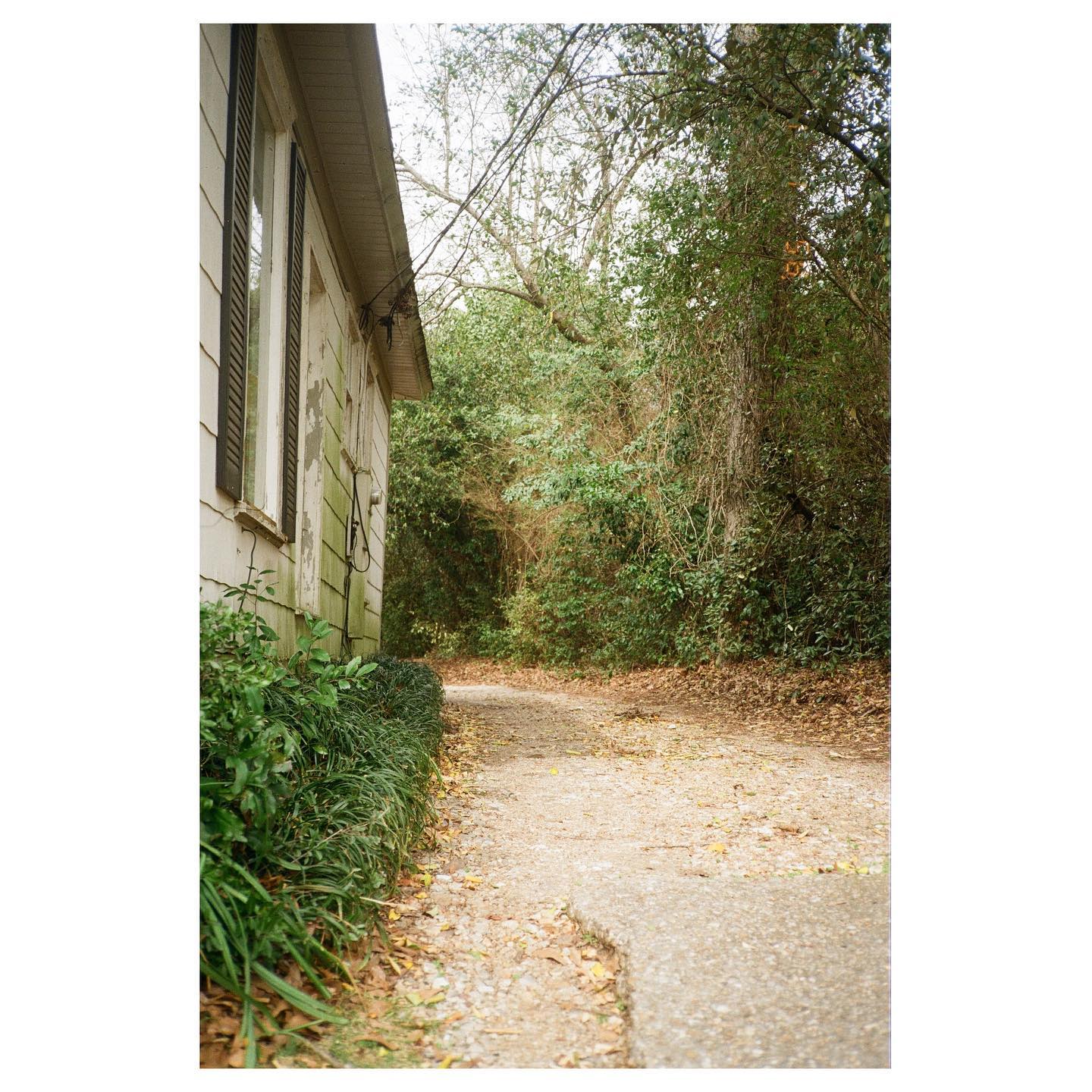 first roll on a canon autoboy 3 qd 🎞
📷: canon sureshot supreme quartz date / fuji 200
#autoboy3qd #35mm #canon #canonsureshotsupreme #fuji200 #fuji #fujicolorc200