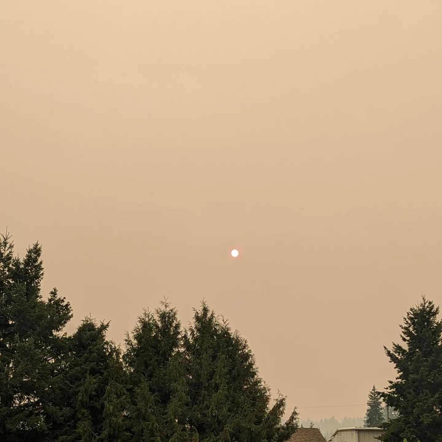 **UPDATE**
We will not set up anywhere today as we're still dealing with the logistics of it all. I will update for the next days once we know more
Good morning 🌄 unfortunately the Salmon Arm Roots and Blues festival had to be cancelled today, due to the ongoing wildfires in the area.
With a heavy heart we will be leaving today, hoping for the best for the affected communities 🙏
We are looking for a different place to set up at the moment, keep checking back for updates.