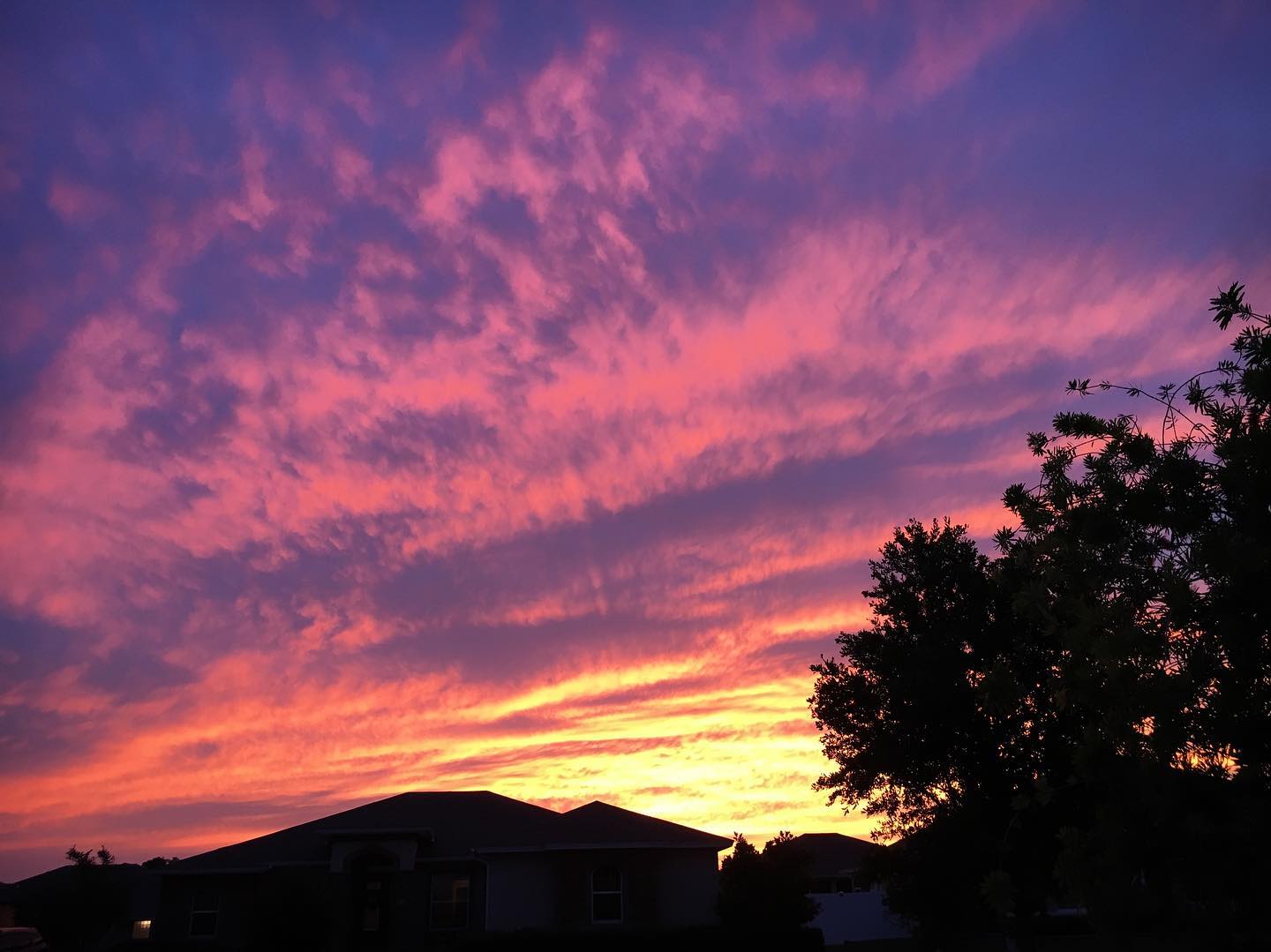 Crazy sunset tonight.