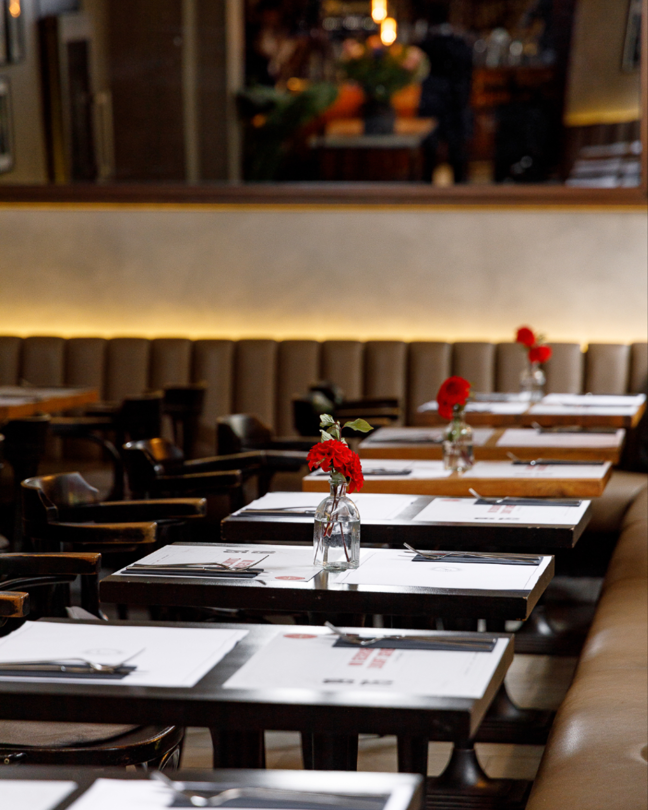 Ruhig, stilvoll, herzlich – das Ludwigs ist ein Ort zum Ankommen und Bleiben. Zwischen Holz, Licht und Blumen entsteht eine Atmosphäre, die einfach gut tut.
#50jahreludwigs #ludwigskarlsruhe #meinludwigs #restaurantliebe #karlsruheisst