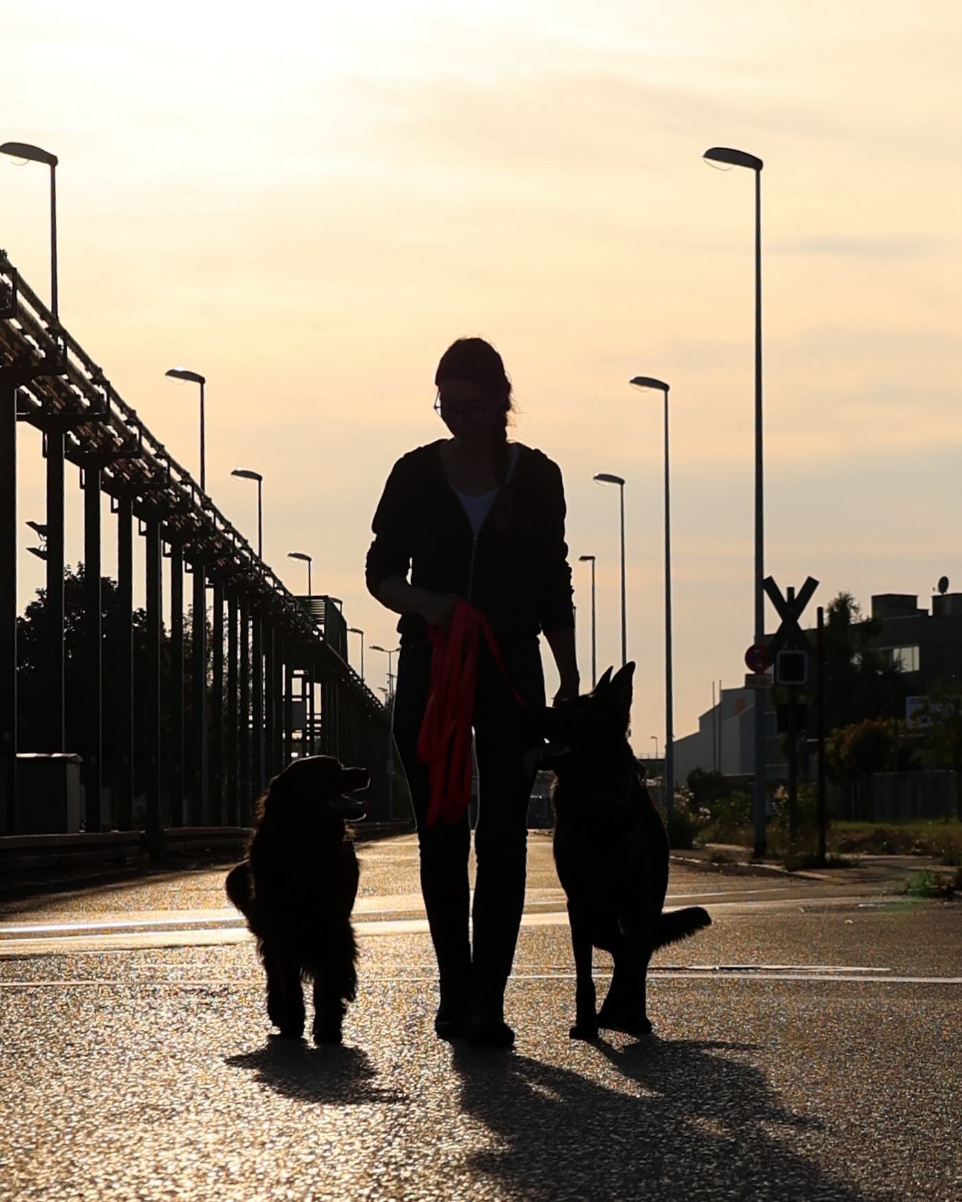 „Der Hund ist ein Begleiter, der uns daran erinnert, jeden Moment zu genießen“
•
In diesem Sinne: schnappt euch eure Hunde, macht etwas schönes gemeinsam und genießt den Abend miteinander 🫶🏼
•
•
#dogmom #doglover #dogoftheday #dogspictures #dogphotography #instadog #dogsofinstagram #dogtraining #dogtrainingtips #hundliebe #hundeleben #deutscherschäferhund #schäferhund #gsd #bordercollie #bordercolliesofinstagram
