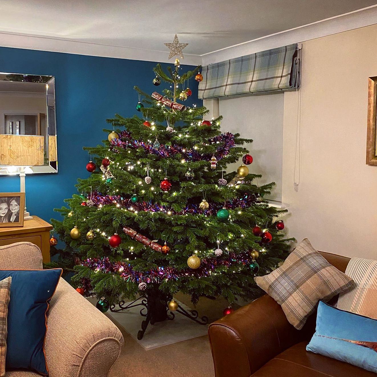 Open this weekend 10.30am - 3.30pm. A wide range of pot grown and freshly cut Nordmann Fir trees are available up to 9ft. No booking necessary.
🎄We still have all shapes and sizes of Nordmann Fir in stock
🎄The PYO plantation will also be open to explore this weekend 10.30am - 3pm however we will not be selling anymore trees from the plantation this year
Thanks to @aliceclarecracknell for the 📸😍🎄
#locallysourced #freshlycut #durham #christmastrees #northeast #durhamchristmastrees #heughhallfarm #smallbusiness #christmasiscoming #nordmann #fir