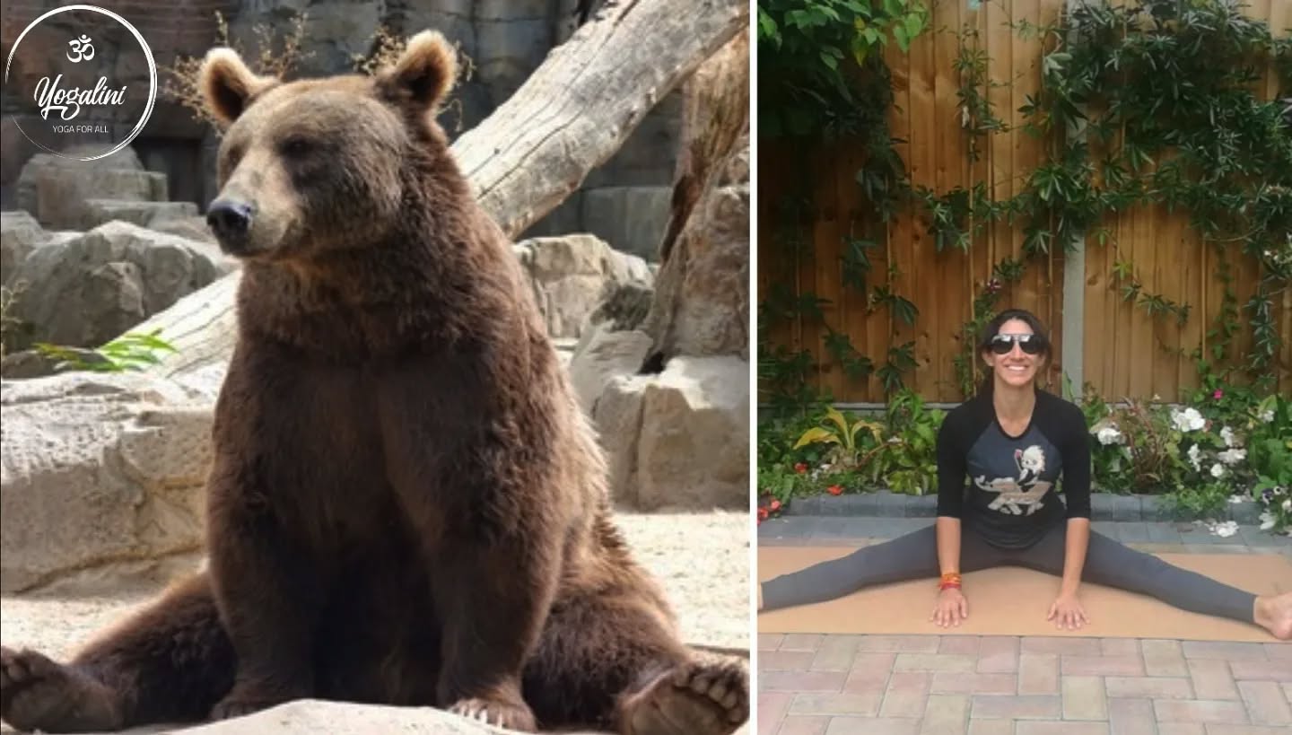 Wishing you all a bear-y happy Friday!!! 🐻
The sun has come out to play in the UK this week and is only going to get better as we enter the weekend! 🥳
So grab your glasses, sun lotion and stay hydrated (in whatever capacity you take that to mean ☕🥛🍻🥂)