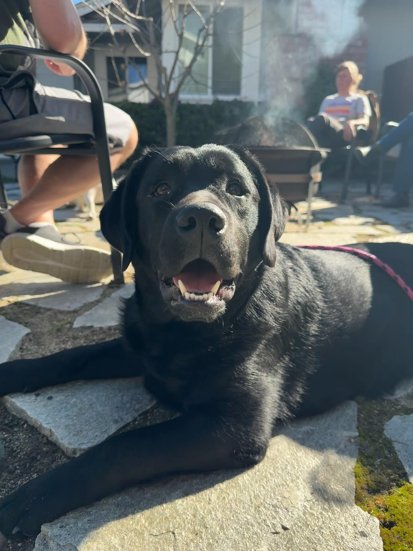 Love this Dottie girl š¤