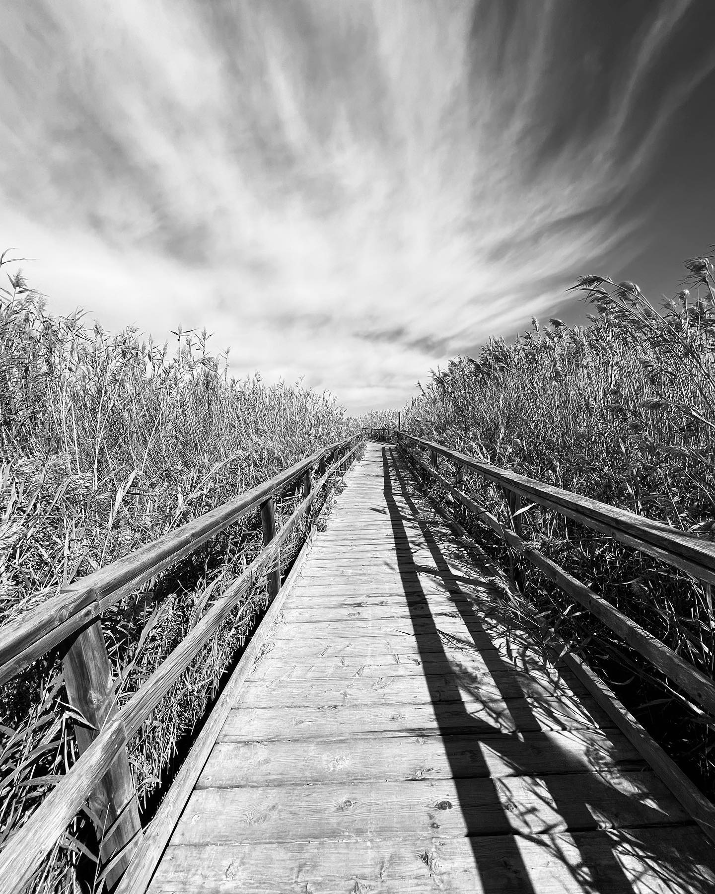 Just home from a family trip.
5 days, truly precious. A chance to take restore.
A new view lets us dream, to look ahead.
But health often fades in future plans.
Dr. Gabrielle Lyon's words hit hard, urging attention.
“If you can't find time for exercise and to eat healthy, how will you find time to deal with sickness?"
This post is a reset, even if just for a moment.
In the middle of life's chaos, health is vital.
Does work steal your peace?
Your choices guide your journey.
Ever pondered the price of neglecting health?
It's scary, but real.
Review where you invest your time.
Choose wisely.
And if you need help finding balance, i have an equation. I’ll share in my next newsletter.
#health #balance #nutritiontips #nutritionist #findingbalance #prioritiseyourself #bristollife #bristol_lens #bristollife #wellbeing #founder #bristolbusiness