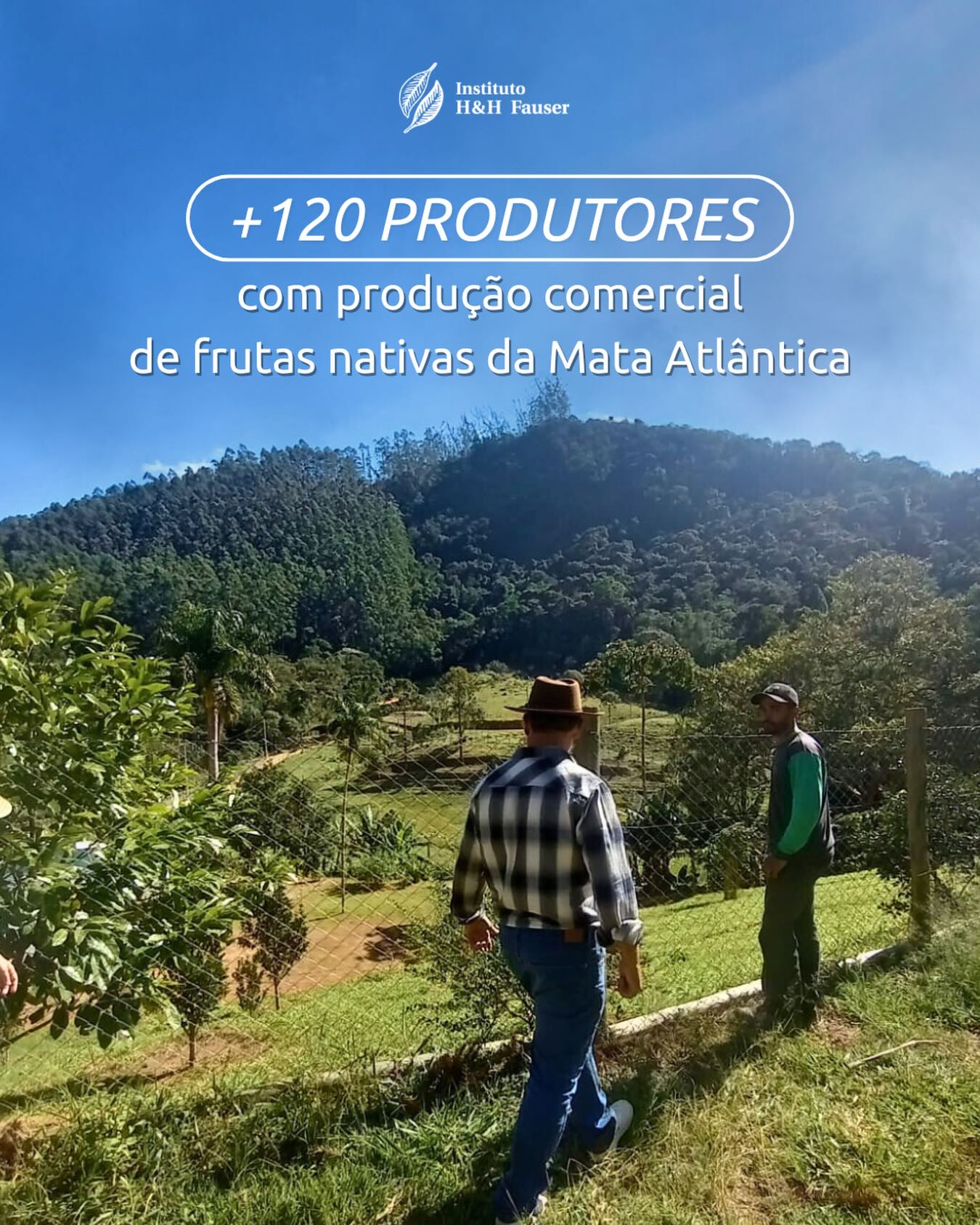 No último ano, realizamos um levantamento com mais de 120 produtores e produtoras com produção comercial de frutas nativas da Mata Atlântica. Esse trabalho fortalece a conexão entre quem produz e quem consome!
Aqui no nosso perfil e nos destaques, você encontra conteúdos sobre esses produtores e seus produtos.
É possível entrar em contato diretamente, conhecer o trabalho de cada um e adquirir frutas nativas (além de ajudar o comercio local!).
#ihhf #frutasnativas #produtores #paraibuna #ong
