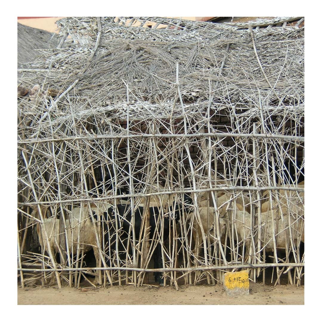 Dry Vegetation Fences
.
Construction / Traditional Architecture
.
Collecting dry vegetation is a daily affair for people in the villages. The process is called "Sulli Porukuthal (சுள்ளி பொறுக்குதல்)" in Tamil. Dry vegetation is mainly collected for two reasons. One is to use it as fuel to cook, and the other is to make small fences, often referred to as Tatti (தட்டி) in Tamil.
These fences are usually made with small dried branches and the wastes of the previous season's harvest. These branches and reject are tied together with threads made from reeds or fresh barks. They are then assembled to create a wall of fence around a house or a farm.
These fences can be done by anyone and are often made by family members, each contributing in one way or another.
These fences are changed when they begin to brittle or rot. These fences allow complete waste usage without ending up in a landfill.
Photography @jeevanlxavier
.
.
EDA is a crowdsourced archive of Everyday design from the Indian Subcontinent.
Follow @everydaydesignarchive for more.
.
.
.
.
.
.
.
.
.
.
.
.
.
.
.
.
.
.
.
.
.
.
.
#design #everyday #dailyobjects #designerobjects #homemade #artisanal #craftsofindia #artistsofindia #designarchive #indiansubcontinent #india #productdesign #householdobject #everydaydesignobjects #traditionalconstruction #fencing #traditionalfencing #dryvegetation #fencing