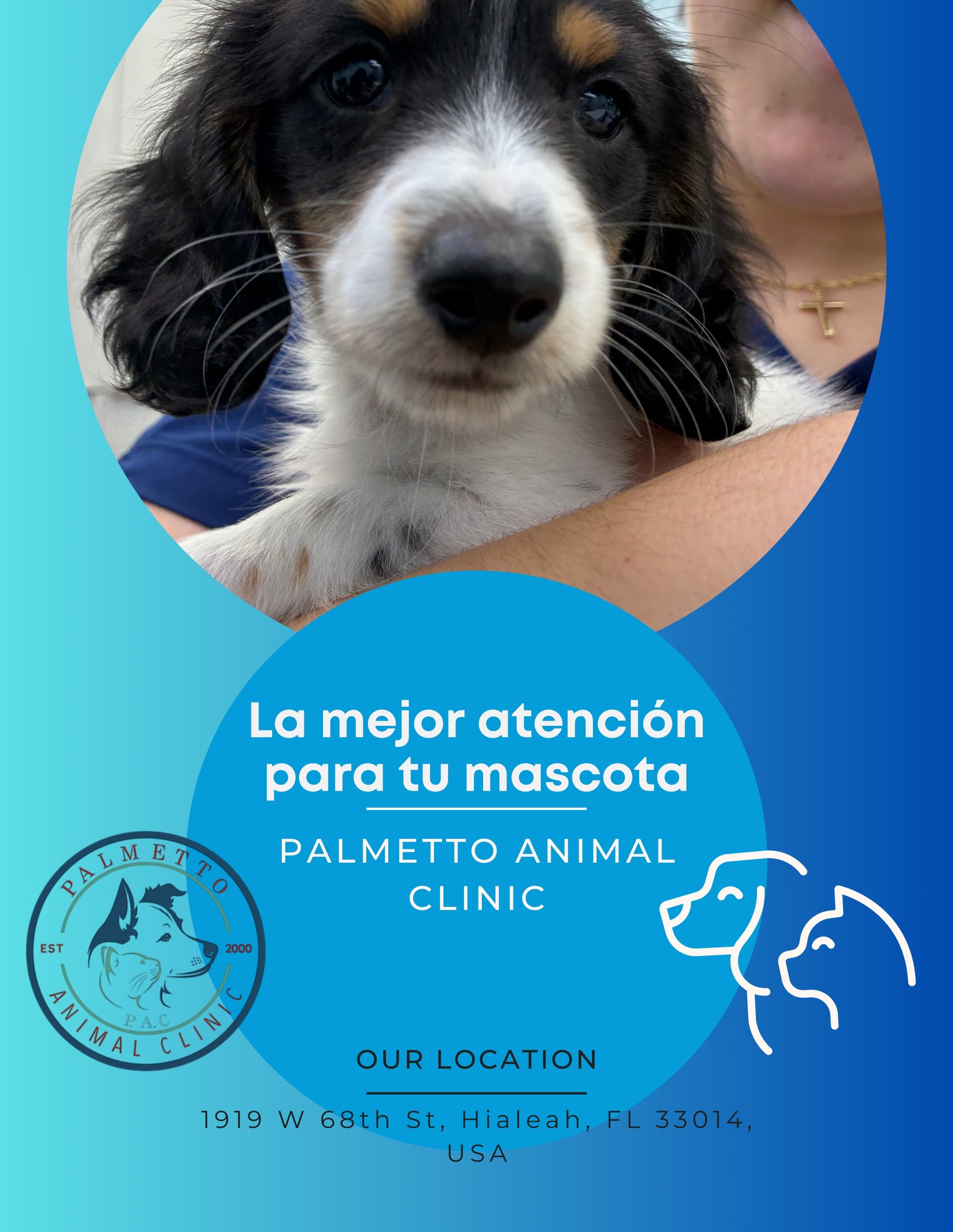 Palmetto Animal Clinic
📲305-824-9990
📍1919 W 68 St. Hialeah, Fl 33014
🌐Website:
https://www.palmettoanimalclinic.net
#palmettoanimalclinic #florida #miami #hialeah #veterinarymedicine vettech vetmed PalmettoAnimalClinic NewPatient FurFamily WelcomeLittleOne