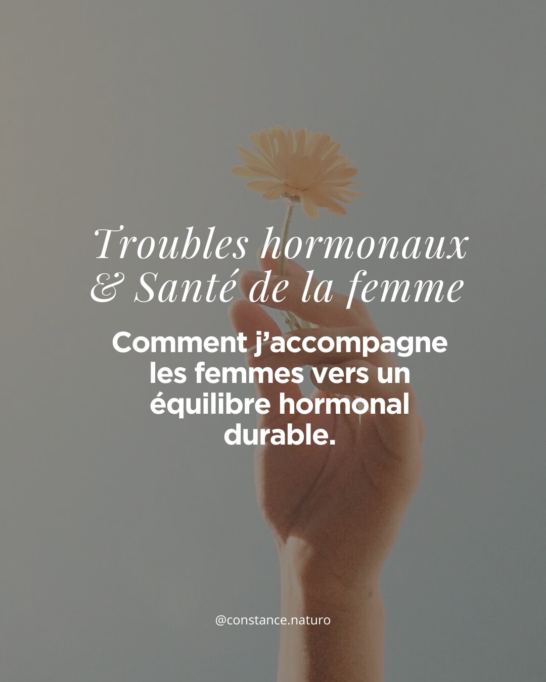đ Et si ton corps ne dysfonctionnait pas⊠mais communiquait ?
RĂšgles douloureuses, SPM, cycles irrĂ©guliers, troubles hormonaux, fatigue, stressâŠ
Ces symptĂŽmes ont un sens. Et tu nâas pas Ă les traverser seule.
Jâaccompagne les femmes Ă comprendre leurs dĂ©sĂ©quilibres hormonaux, Ă chaque Ă©tape de leur vie, grĂące Ă une naturopathie globale, humaine et profondĂ©ment personnalisĂ©e đżAlimentation, stress, digestion, hormones, Ă©motions⊠on regarde tout, sans restriction ni culpabilitĂ©.
âš Tu es unique. Ton accompagnement doit lâĂȘtre aussi.
đ Ăcris-moi si tu veux en parler
đ Consultations via le lien en bio