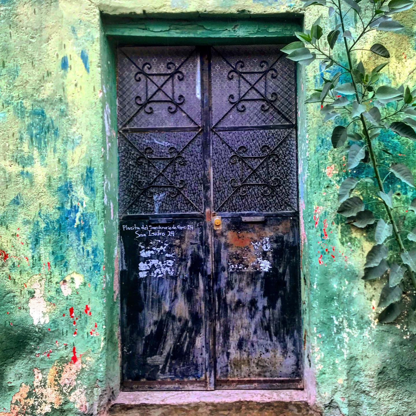 Cada puerta es un portal a un universo de historias ocurridas entre 4 esas paredes