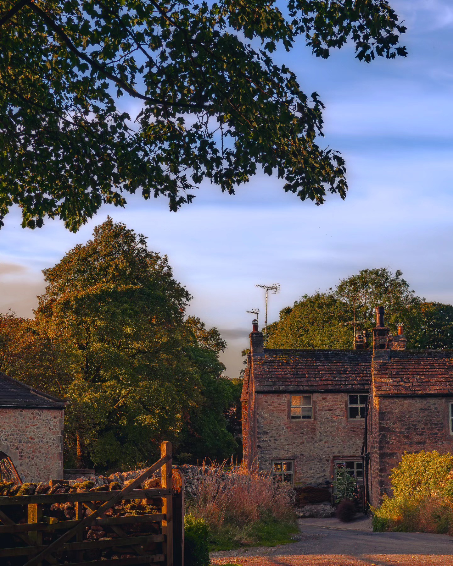 Golden hour in the Dales ๐๐๐
#landscapephotography
#amateurphotographer #landscapephotographer #naturephotography #naturephotographer