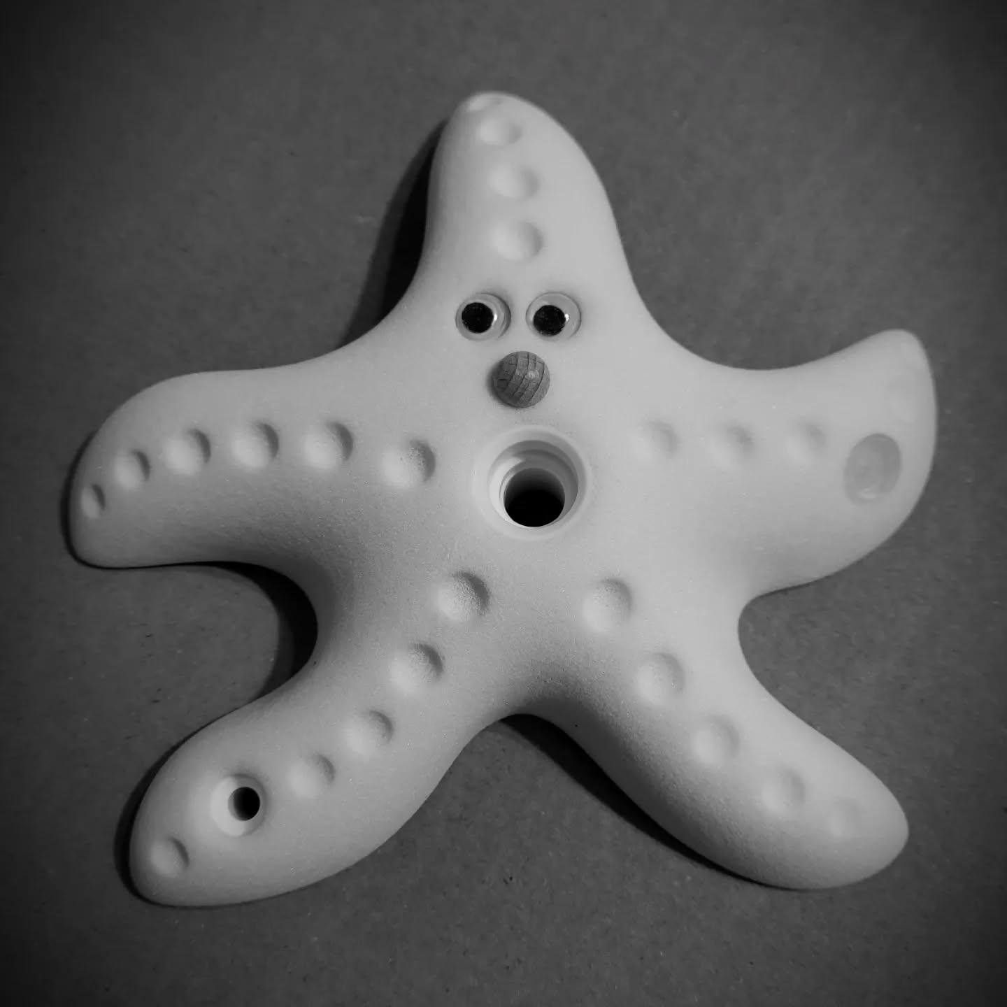 KIDS | Seestar
#climbmania_de #climbmania #climbingholds #climbing #climb #climbing_is_my_passion #shapes #bouldering #boulder