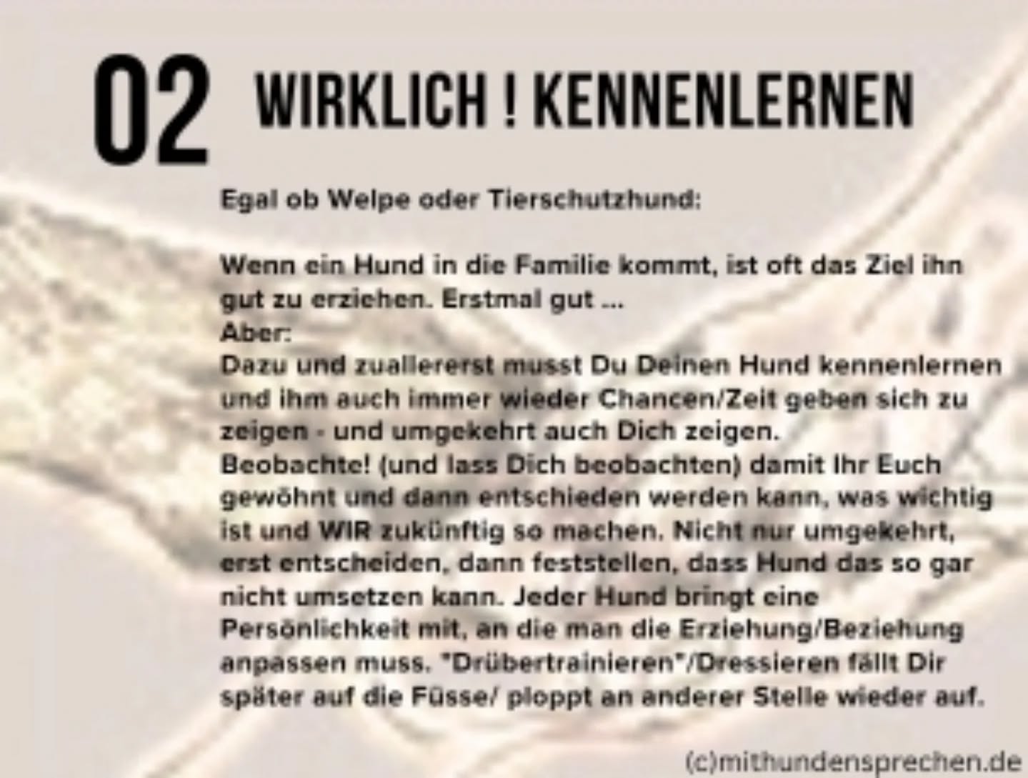 #mithundensprechen #hundetraining #hundesprache
Gute Erfahrungen sammeln soll der Hund, das fängt mit dem Kennenlernen an. Zeit einander zu "erforschen", neugierig aufeinander zu sein OHNE direkt an Erwartungen zu messen.
Und trotzdem kannst Du Regeln zum Zusammenleben etablieren. (und die Reaktion darauf lesen lernen) Regeln bedeuten keine streng durchgezogenen Anweisungen sondern ein Aushandeln und Entscheidungen treffen aber auch Zuhören und Achten, was der Hund dazu zu sagen hat. Fällt etwas schwer? Kriegt ers nicht hin? Warum nicht? Braucht er Hilfe? Braucht es auch einmal ein Machtwort? Alles ist möglich, aber zuallererst... lernt Euch kennen und sei neugierig wer Dein Hund so ist (oder werden könnte, wenns noch nicht an der Oberfläche ist) 🤎