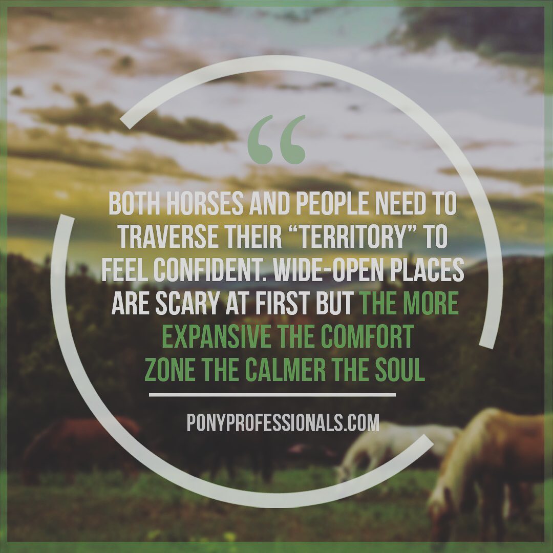“The more expansive the comfort zone the calmer the soul.” Horses and humans need to move to feel calm. Like fish, we grow to the size of our tank, but while fish grow in size, we grow in the emotional dimension. Calmness is aided by perspective and when we walk, we build duration for calm as well as building grater acceptance (in ourselves and in our horses) with distance from home. Calm becomes a sticky, easily accessible mental state because ‘you are what you do most often’. By walking, calm is what we do most often... Read more in the comments! 💫 Follow to see more deep thoughts about horses and life ✍🏻 Comment if you felt something when you read this 💌 Message if you have questions about anything horse
🌈 Share if you believe in our message