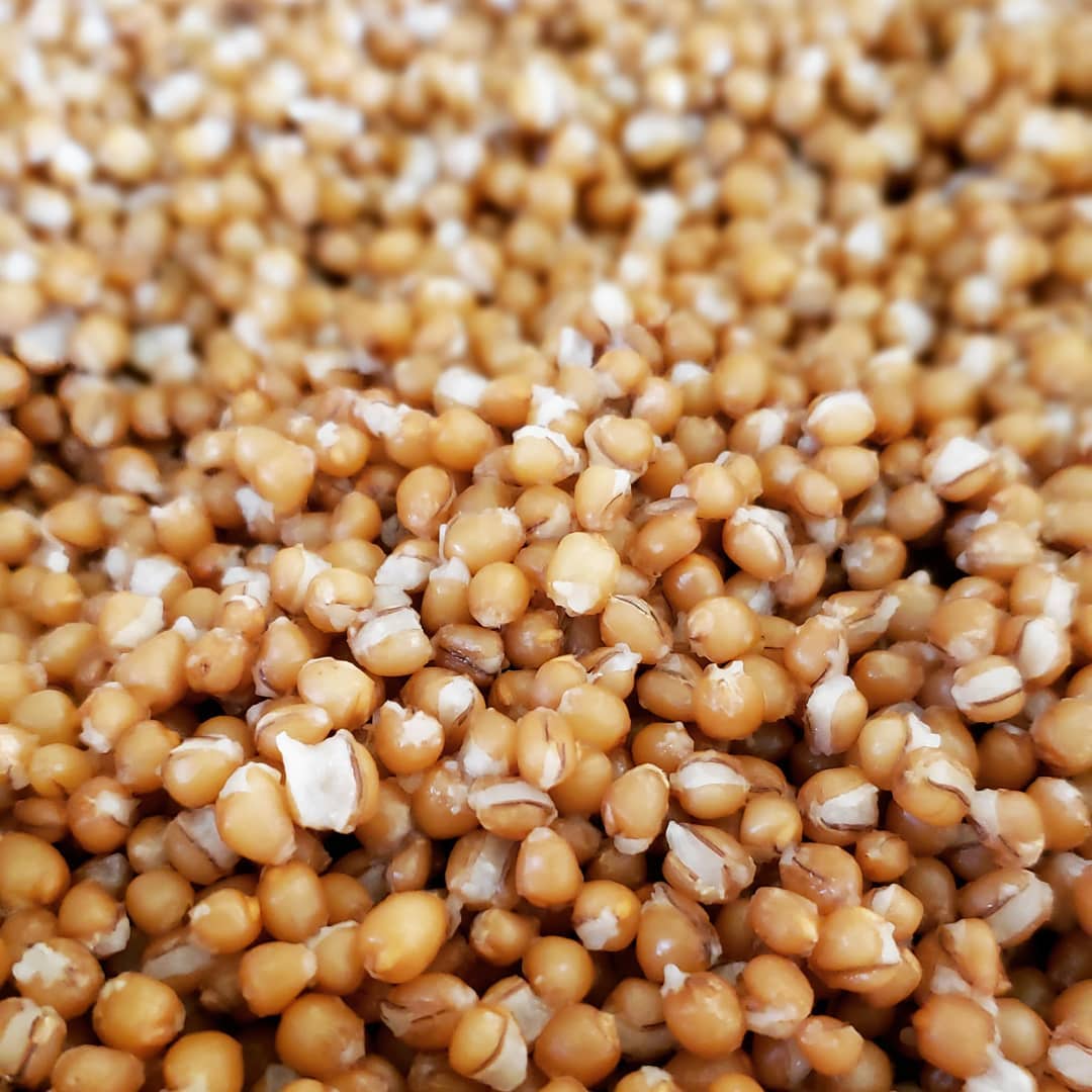 I am in love with @sacredsunfarm organic wheat berries. Apparently you all are too. This was the pre-order winner for the @brooksidefarmersmarket. If you missed ordering an organic whole wheat berry loaf, come get one from me tomorrow from 8-1pm and stop by to get some grains from Jake too!
#organicbread #wholegrainbread #naturallyleavenedbread #sourdough #localgrains #localfood #kansascityfood