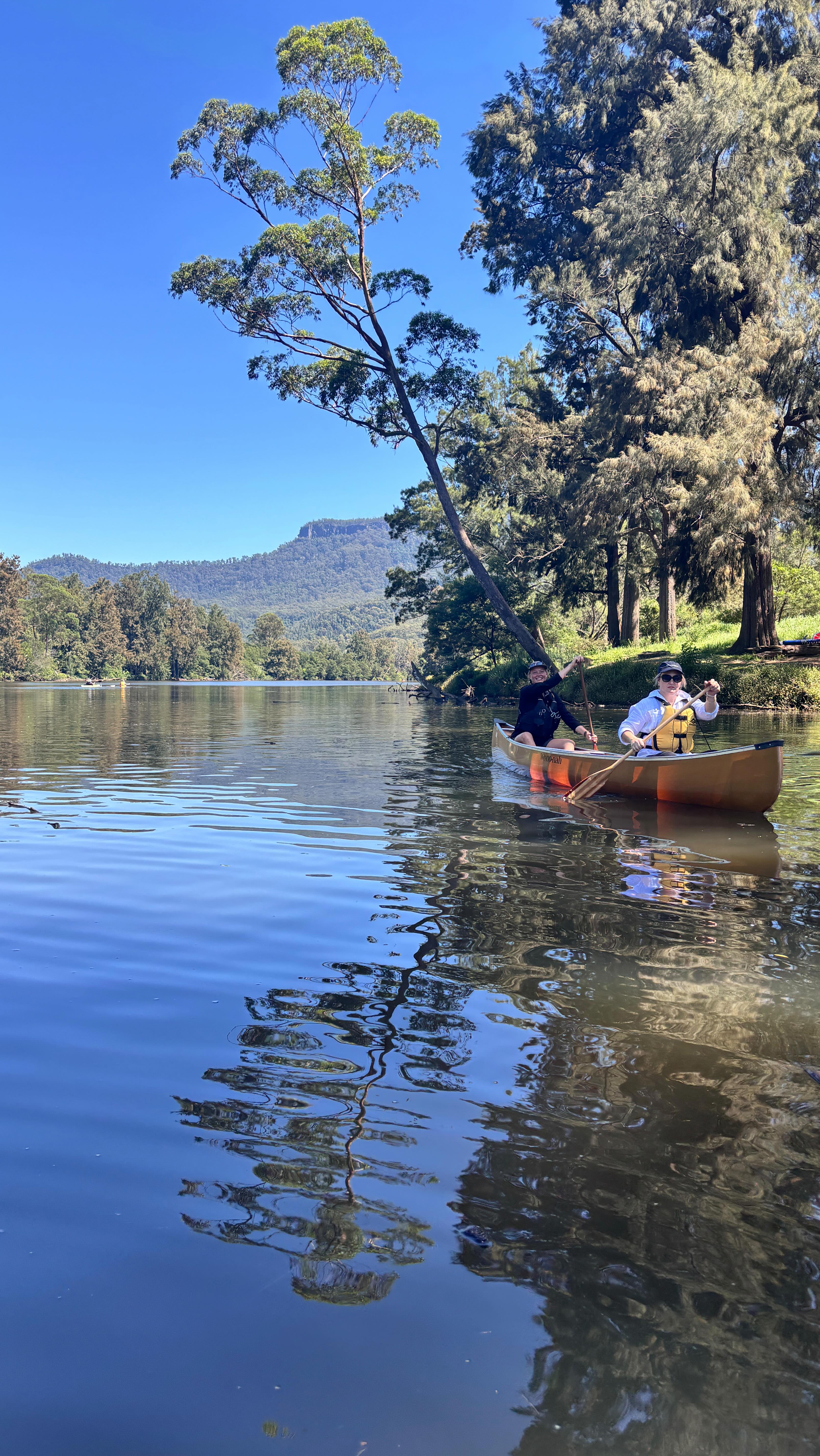Our recent day trip to Kangaroo Valley was lovely! @kangaroovalleyoutdoors guided our mindful experience then we headed to @robertsoncheesefactory for a yummy cheese toastie before found treasures next door at the amazing @thecoolroomemporium. We ended our day with a quick view of stunning Fitzroy Falls. Check the link in bio for more full days out with Seek Sista!