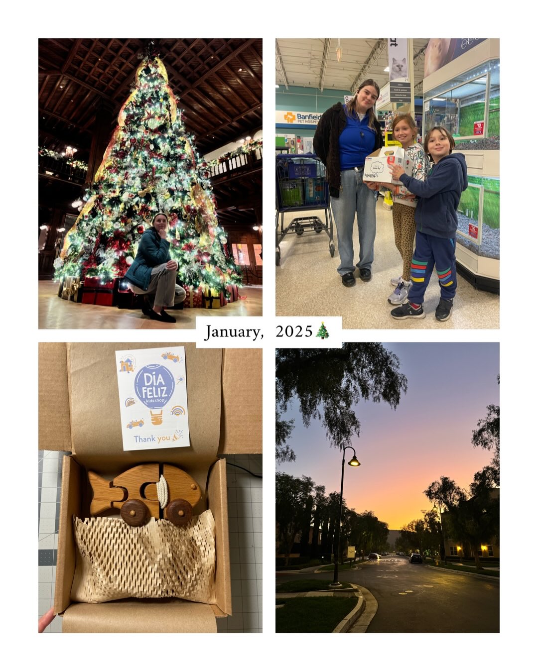 I believe I’m probably the very last person on social media who has finally summed up 2025 😁
So here it is… a very difficult and challenging year, with small victories and quiet, happy moments - year when the most important thing was simply to survive 👻⬇️
• I finally accepted that Día Feliz is a business — not a hobby (otherwise, I would have had to close it).
• And all my thoughts were only about Día Feliz… I talked about business with all my relatives and friends 🫶 I’m incredibly grateful they’re still here 🙏 Promise — I won’t do this again in 2026 😅
• We (my husband helped a lot this year ❤️) somehow withstood constantly rising prices and enormous new tariffs. It’s still not the end, but the store is operating — and that alone feels like a win 🥳
• The small business market I participated in throughout 2025 didn’t accept my applications for the most important Thanksgiving and Christmas markets, without any explanation.
• And then I found completely new, gorgeous, stylish, well-organized markets with very welcoming hosts and inspiring new friends among small business owners. That made point #4 the biggest piece of luck 🍀
• I didn’t read books (there was absolutely no time), but I did manage to continue our evening reading with the kids — our little ritual ✨
• I watched films, because movies are sometimes the only way to forget about troubles 📽️ My favorites of 2025 were F1: The Movie with Brad Pitt (2025) and Chinese Box with Jeremy Irons (1997).
• And finally, I fulfilled a 10-year-old dream — a trip to Cappadocia and a hot air balloon flight 🎈☺️
To be continued 🫶💫🍿
#diafeliz_toys #diafeliz_kids #diafeliz_woodentoys