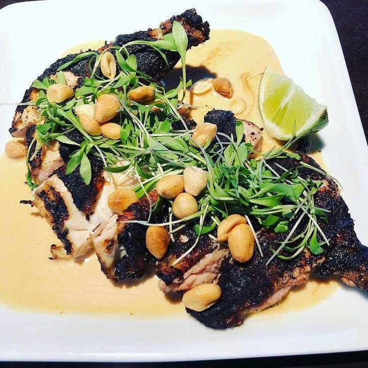 Cilantro micros have a bright, intense flavor and are best enjoyed when added immediately before serving. Check out this awesome Thai Chicken dish from @mike.fischetti of @vadevibistro!
-Thai Brick Chicken, Coconut Peanut Sauce, SRF Micro Cilantro, Toasted Peanuts 💥
-
-
-
-
#urbanfarming #hydroponics #verticalfarming #knowyourfarmer #cagrown #freshfood #healthyfood #urbanfarmer #mixedgreens #leafygreens #microgreens #nongmo #planthealth #indoorfarming #aeroponics #placergrown #growsomeleafys #growsomemicros #shellridgefarms #localfarmers #nutrientdense