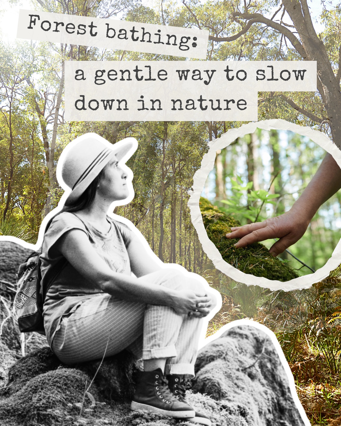 Fancy a soul-soothing day escape? 🌿 Our new blog shares the magic of forest bathing. Join us on 7 Feb at Royal National Park for our full day out called ‘Stride after Stillness’ to try forest bathing ✨ Check the link in bio to read the blog and to book your place on Feb 7 - only 5 spots remain. 👣