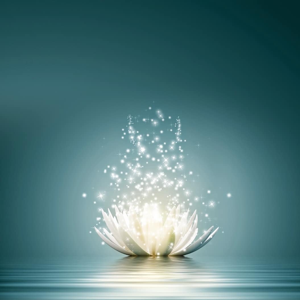 The Importance of your thoughts cannot be understated. So easily we find ourselves in the past or the future staring at expectations focusing on what we didn't want or don't like. Attention becomes scattered leaving very little you in you for the present and the creation of what you do want. Learn how to effectively center, clear and create. Spiritualmechanics.org
#spiritualmechanics #thoughts #pastpresentfuture #creation #energytools #meditiation #createthefuture